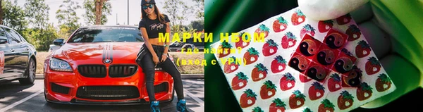 Альфа ПВП Белокуриха