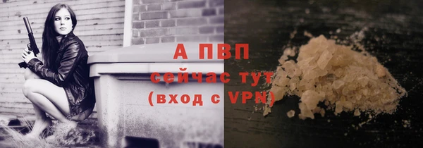 сатива Белоозёрский