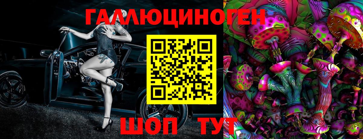 Галлюциногенные грибы прущие грибы  Верхняя Пышма 