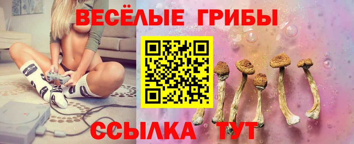 Галлюциногенные грибы Psilocybine cubensis Верхняя Пышма