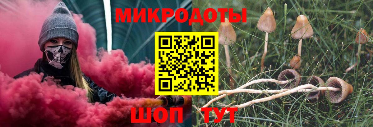 Галлюциногенные грибы Psilocybine cubensis Верхняя Пышма